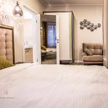 Dysnos Avenue Lägenhet Vilnius