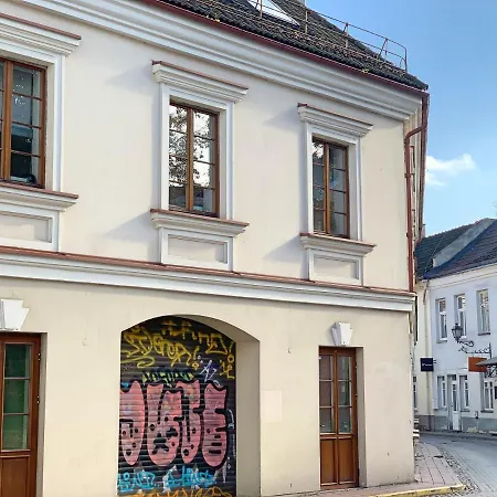 Dysnos Avenue Apartamento Vilna