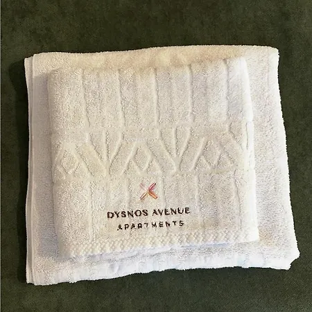 Dysnos Avenue Apartment Wilna