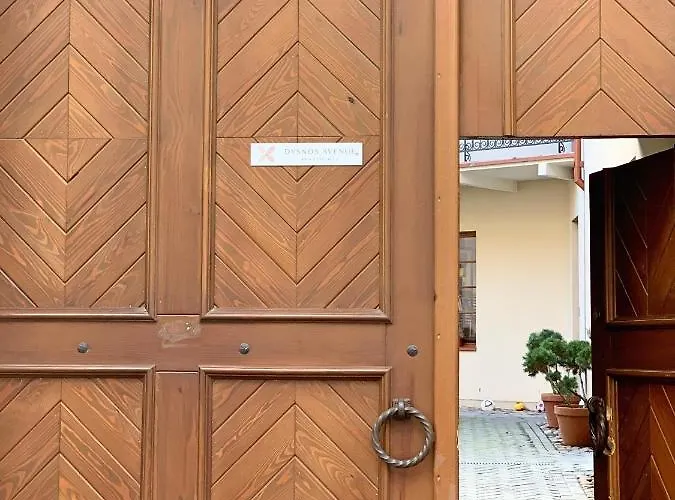 Dysnos Avenue 公寓 维尔纽斯