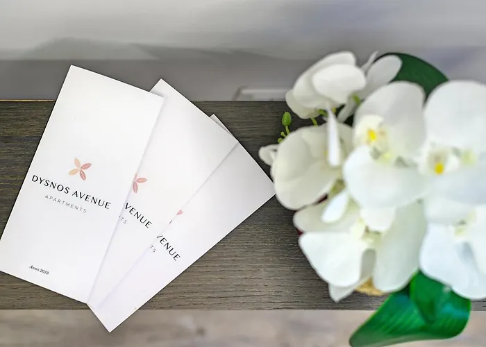 Appartamento Dysnos Avenue Vilnius